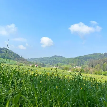 Black Forest Gengenbach