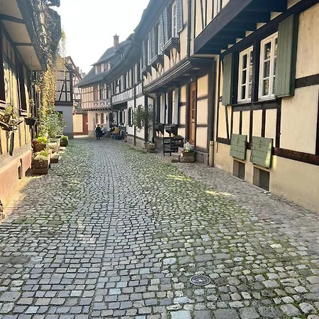 Black Forest Appartamento *